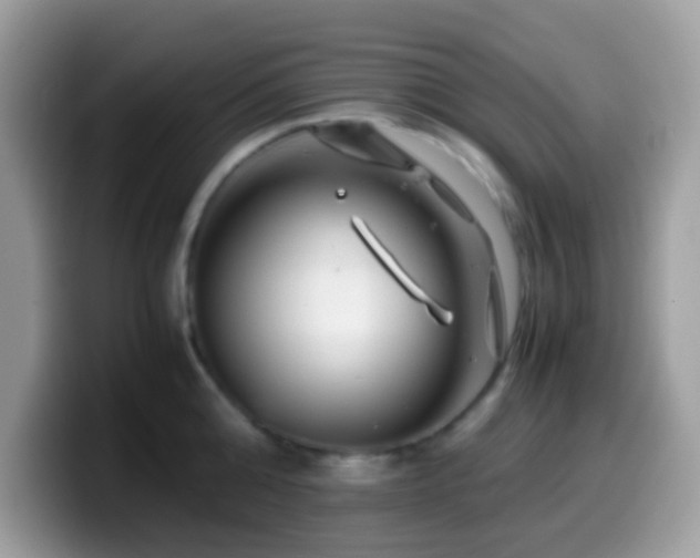 X0000099990808200805301412