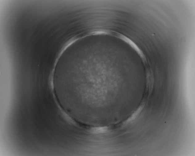X0000099990810200805301412