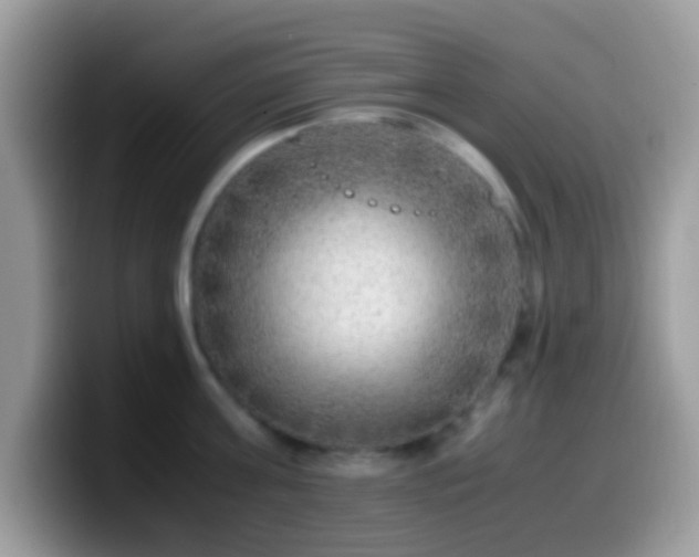 X0000099990811200805301412