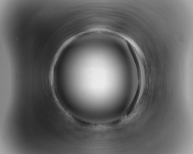 X0000099990815200805301412