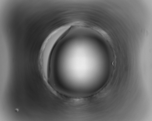 X0000099990816200805301412
