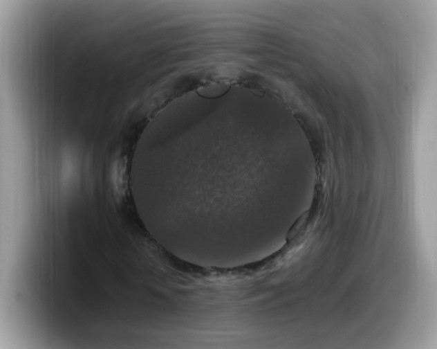 X0000099990818200805301411