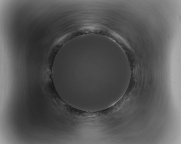 X0000099990822200805301411