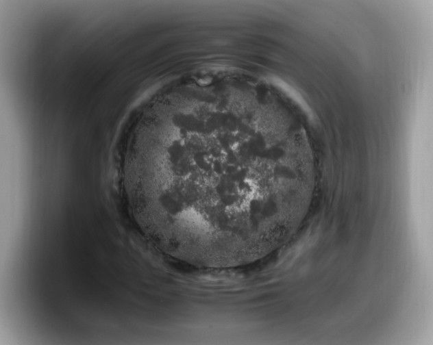 X0000099990823200805301411