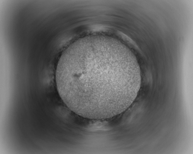 X0000099990824200805301411