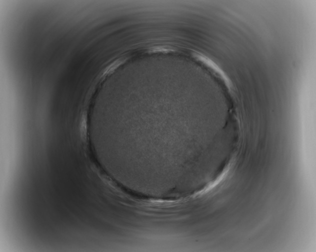 X0000099990825200805301411