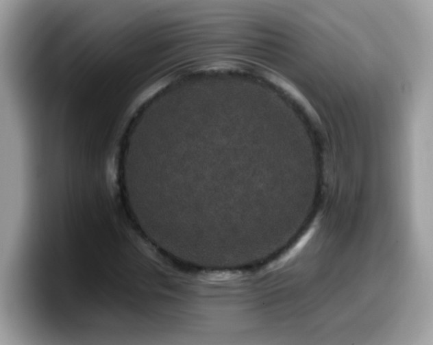 X0000099990826200805301411