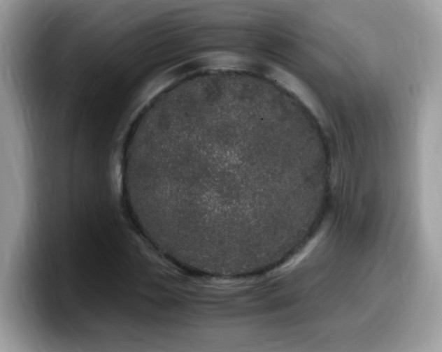 X0000099990829200805301411