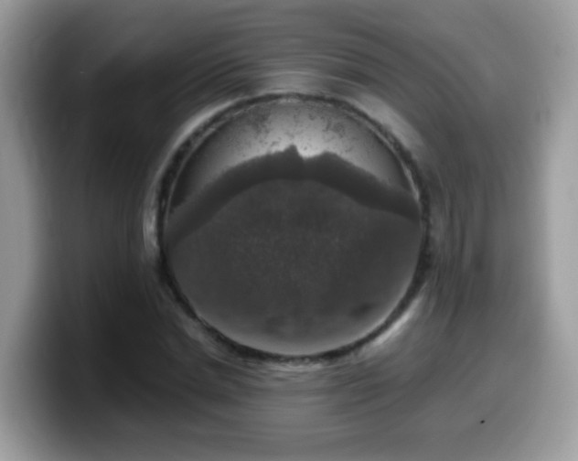 X0000099990830200805301411