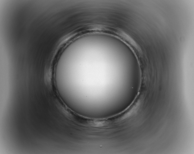 X0000099990831200805301411