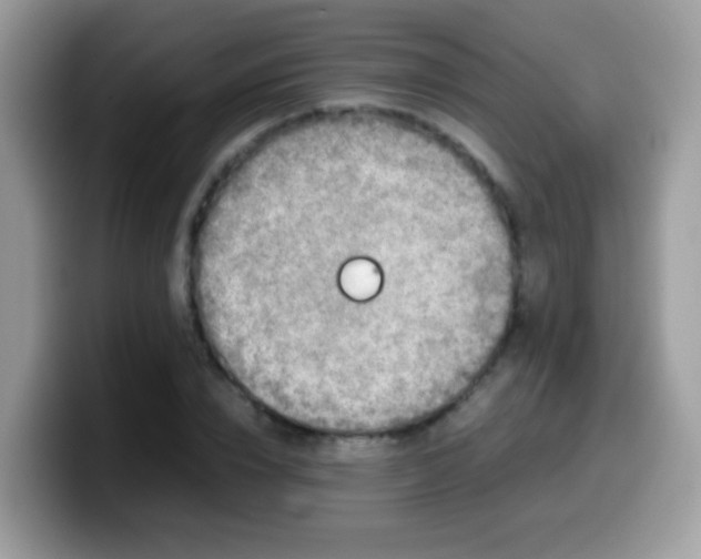 X0000099990832200805301411