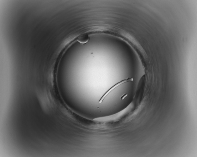 X0000099990834200805301411