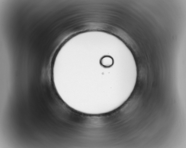 X0000099990836200805301411
