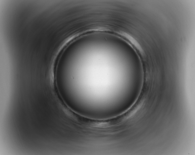 X0000099990837200805301411
