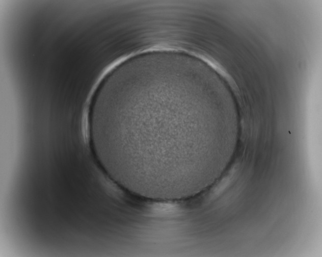X0000099990838200805301411