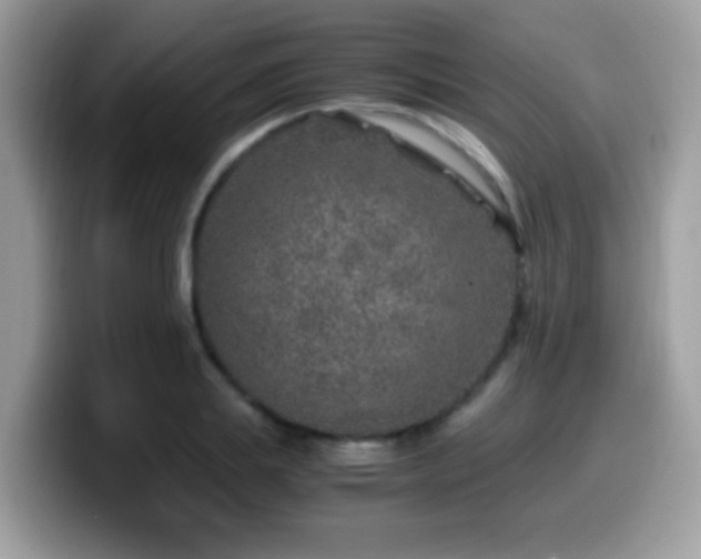 X0000099990839200805301411