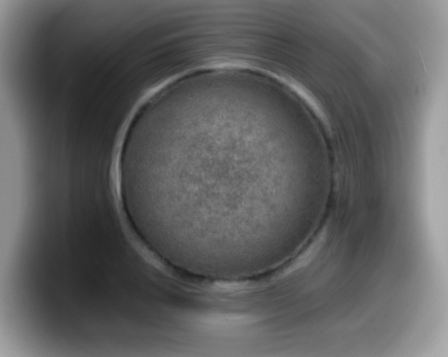 X0000099990840200805301411