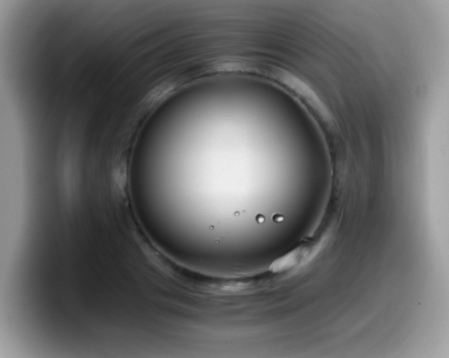 X0000099990841200805301411