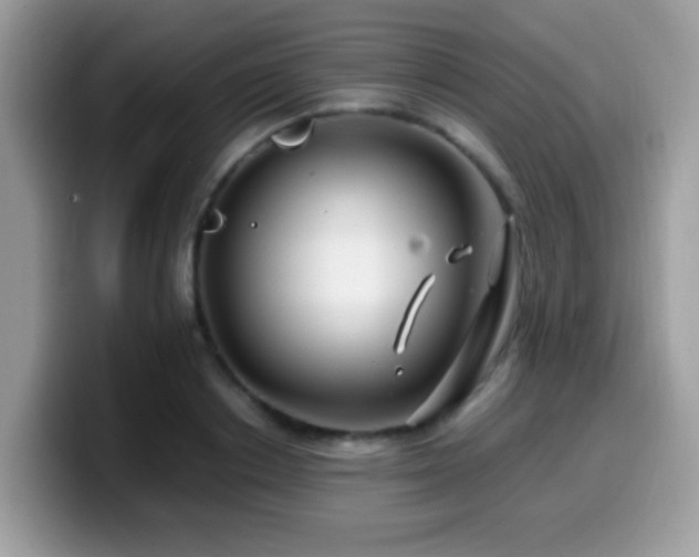 X0000099990842200805301411