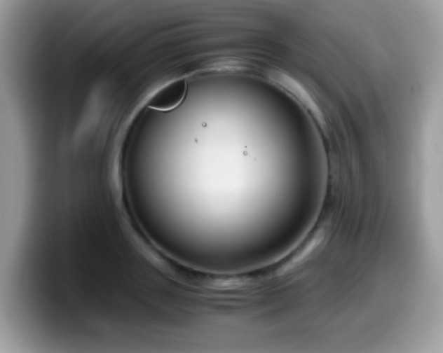 X0000099990843200805301411