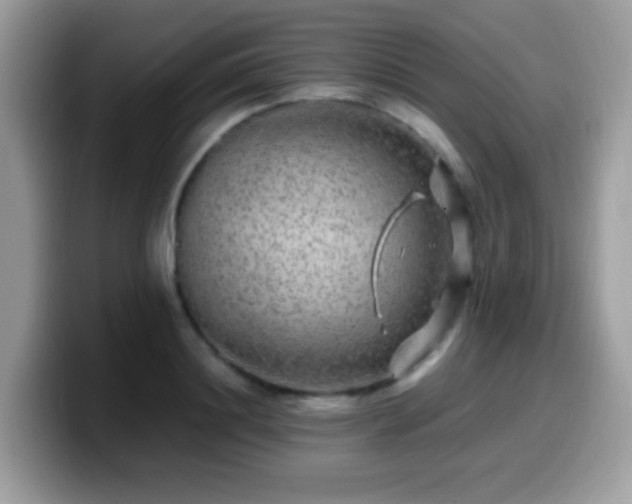 X0000099990844200805301411