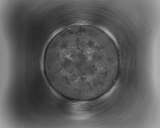 X0000099990845200805301411
