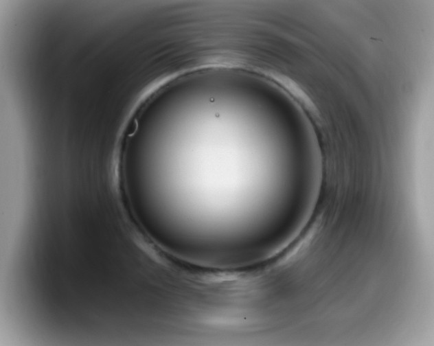 X0000099990846200805301411