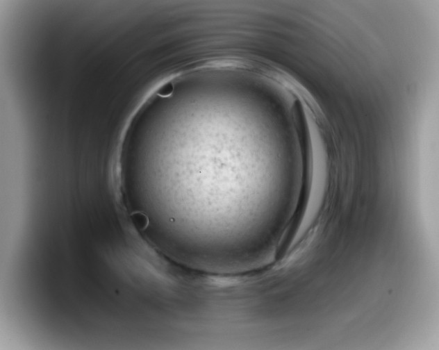 X0000099990852200805301412