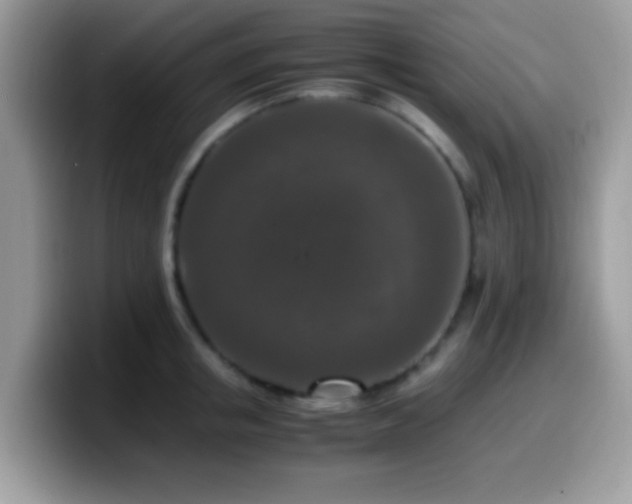 X0000099990853200805301412