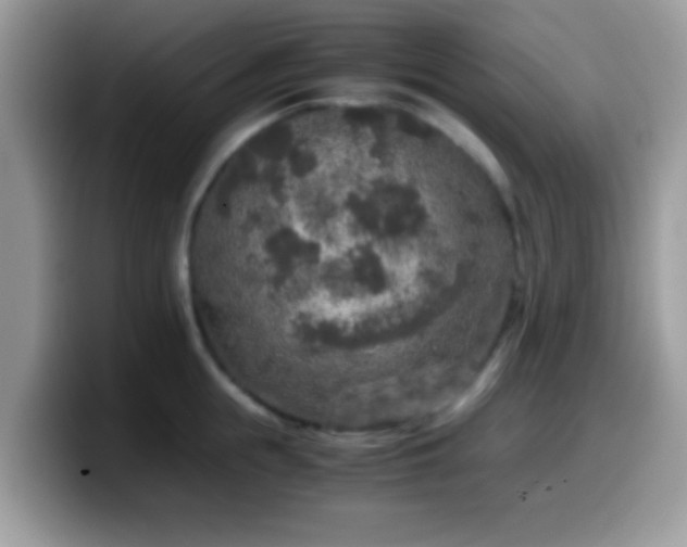X0000099990855200805301412