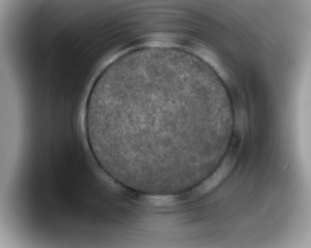 X0000099990856200805301412