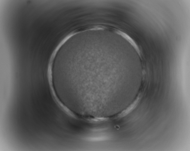 X0000099990859200805301412