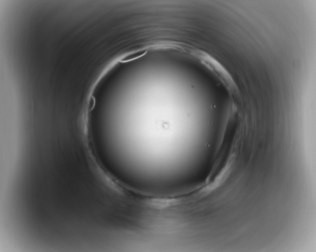 X0000099990860200805301412