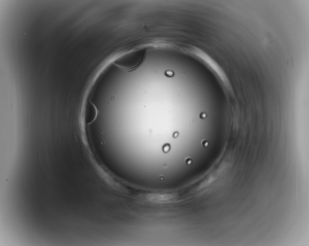X0000099990861200805301412