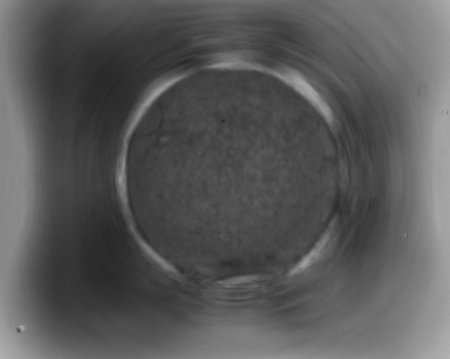 X0000099990863200805301412