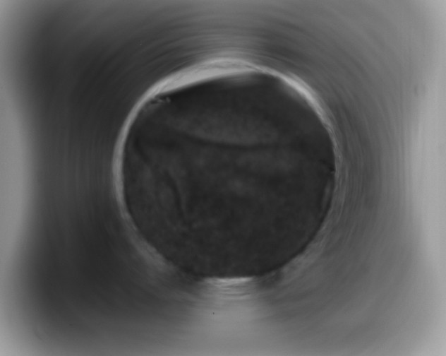 X0000099990864200805301412