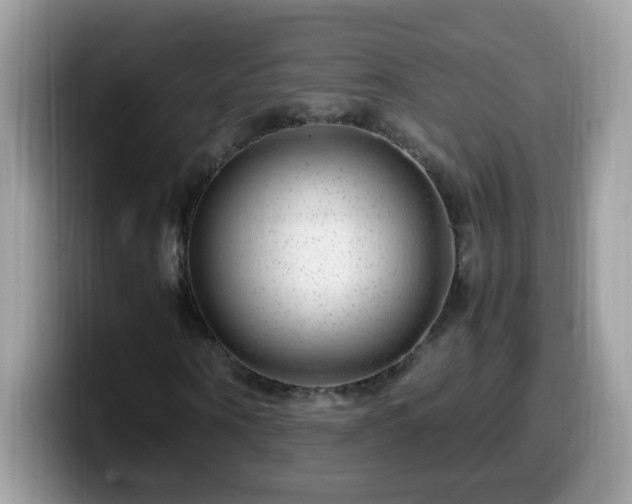 X0000099990866200805301411