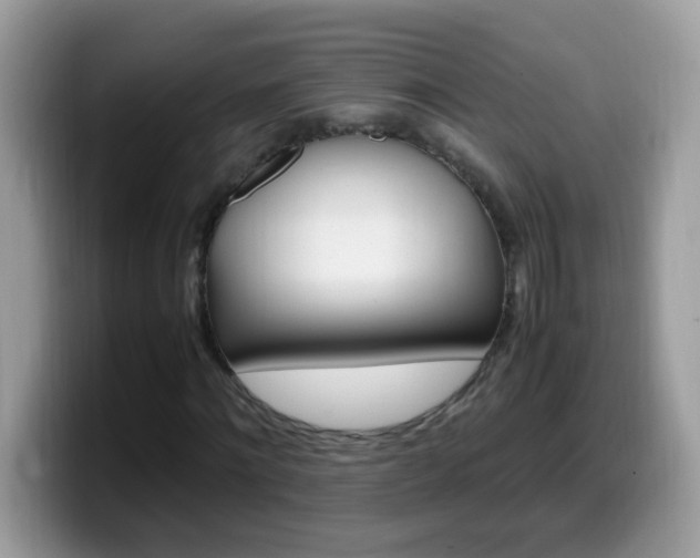 X0000099990868200805301411