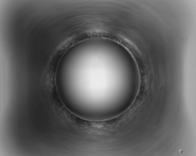 X0000099990870200805301411