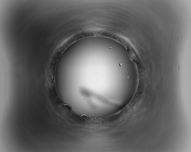 X0000099990871200805301411