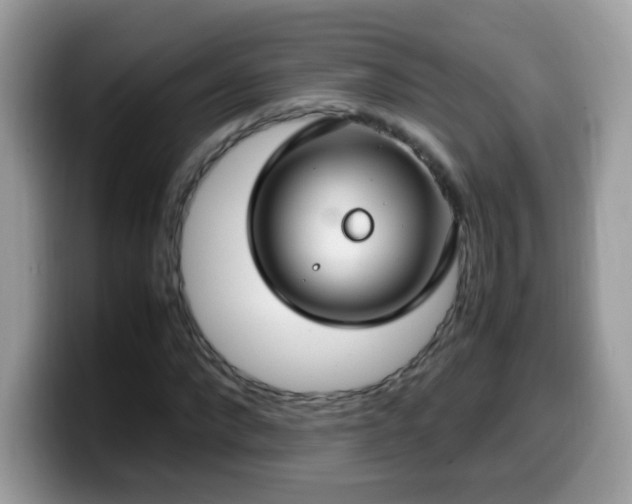 X0000099990872200805301411