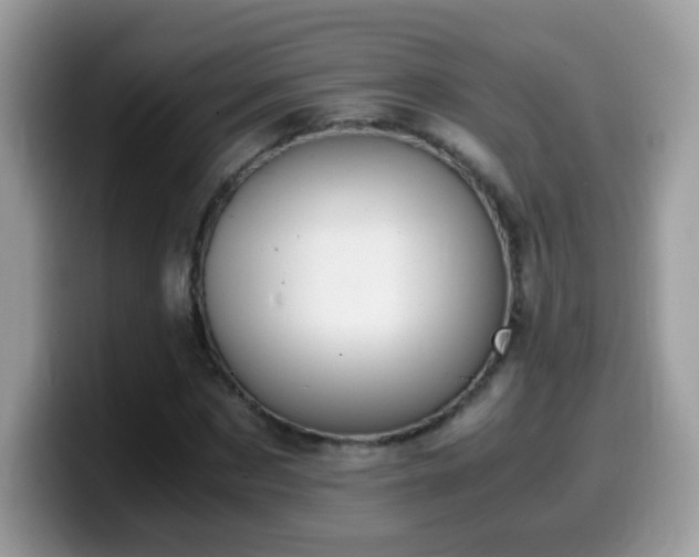 X0000099990873200805301411