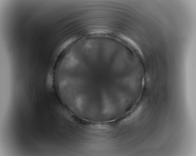 X0000099990874200805301411
