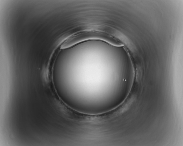 X0000099990876200805301411