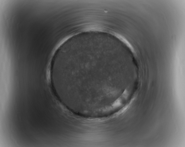X0000099990877200805301411