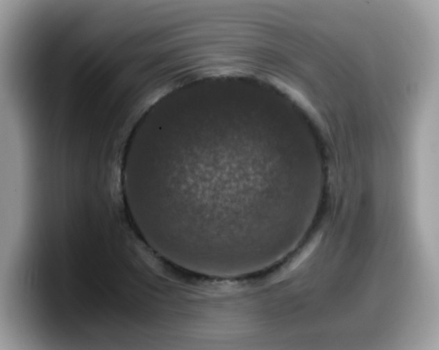 X0000099990881200805301411