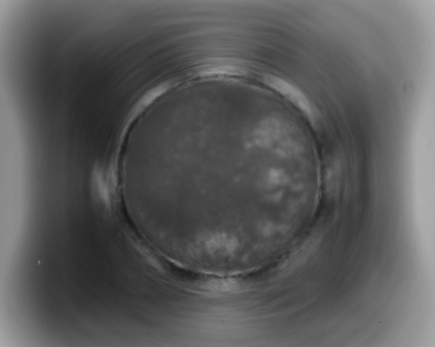X0000099990882200805301411