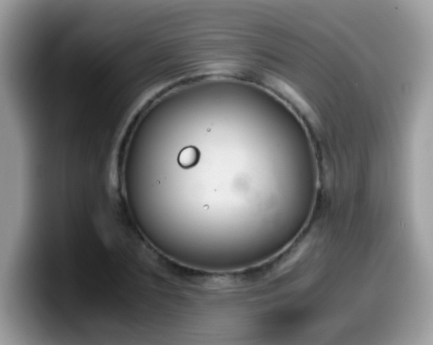 X0000099990883200805301411
