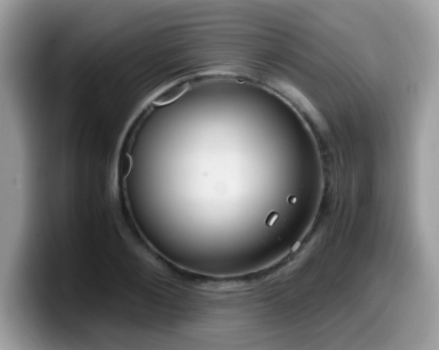 X0000099990884200805301411