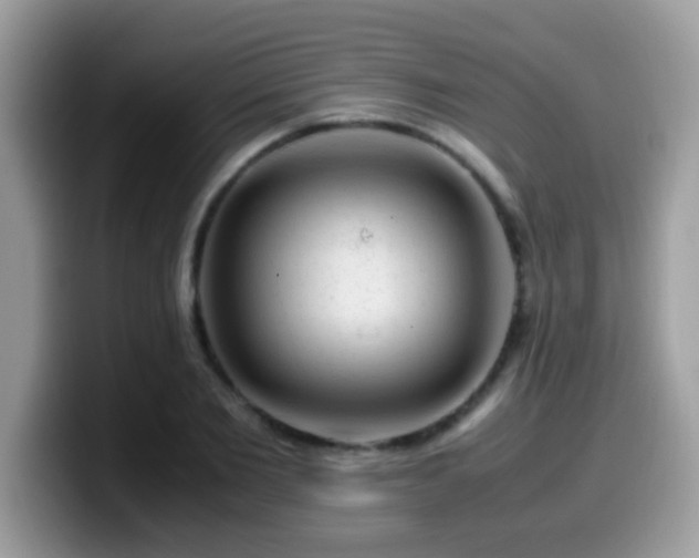 X0000099990885200805301411